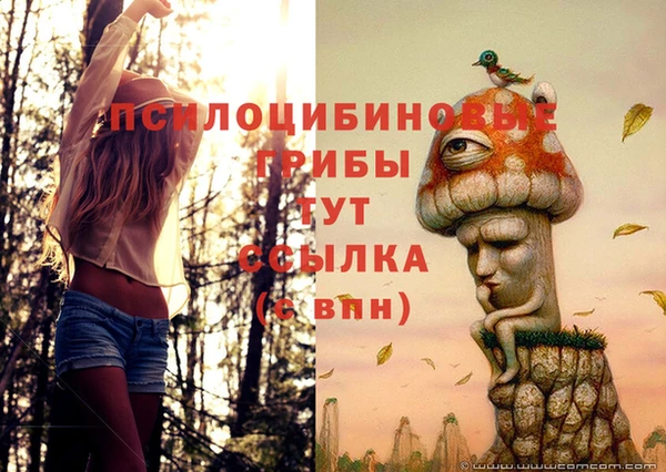 каннабис Корсаков