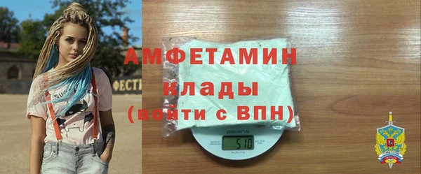ГАЛЛЮЦИНОГЕННЫЕ ГРИБЫ Дмитриев