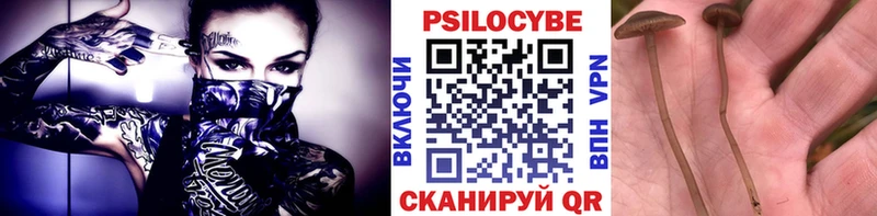 blacksprut ссылки  Елабуга  Галлюциногенные грибы мицелий 