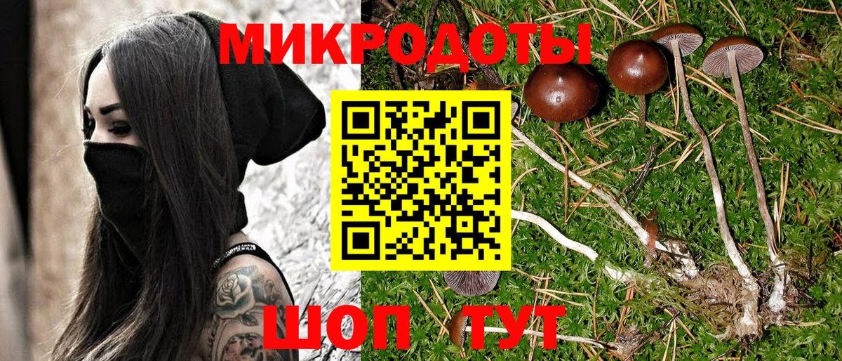 Галлюциногенные грибы Cubensis  Вход с VPN  Елабуга 