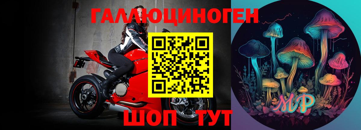 Галлюциногенные грибы мицелий Елабуга